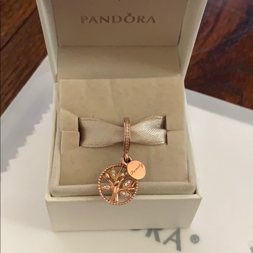 Pandora rose charm